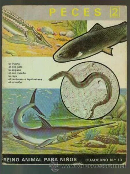PECES 2. REINO ANIMAL PARA NIÑOS. CUADERNO 13
