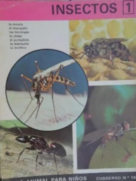 INSECTOS 1. REINO ANIMAL PARA NIÑOS. CUADERNO 16