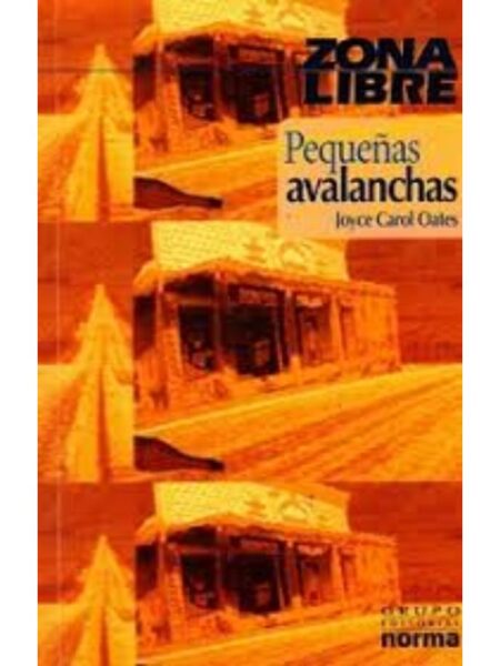 PEQUEÑAS AVALANCHAS