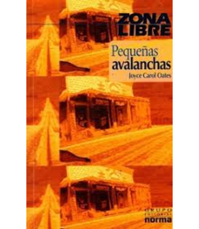 PEQUEÑAS AVALANCHAS