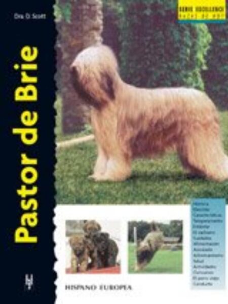 PASTOR DE BRIE