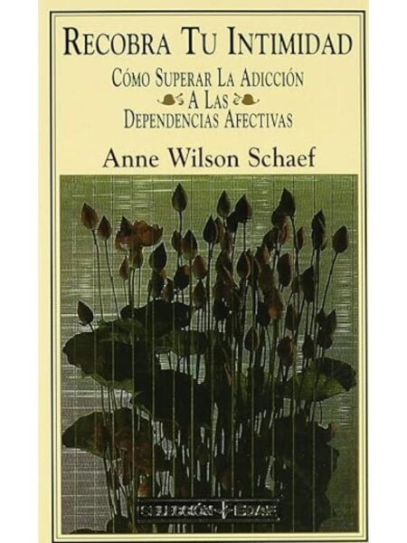 RECOBRA TU INTIMIDAD CÓMO SUPERAR LA ADICCIÓN A LAS DEPENDENCIAS AFECTIVAS