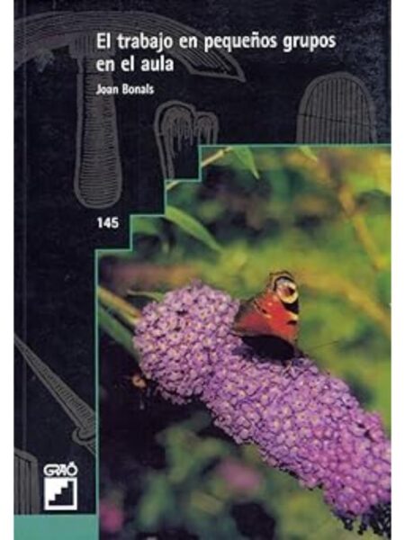 EL TRABAJO EN PEQUEÑOS GRUPOS EN EL AULA