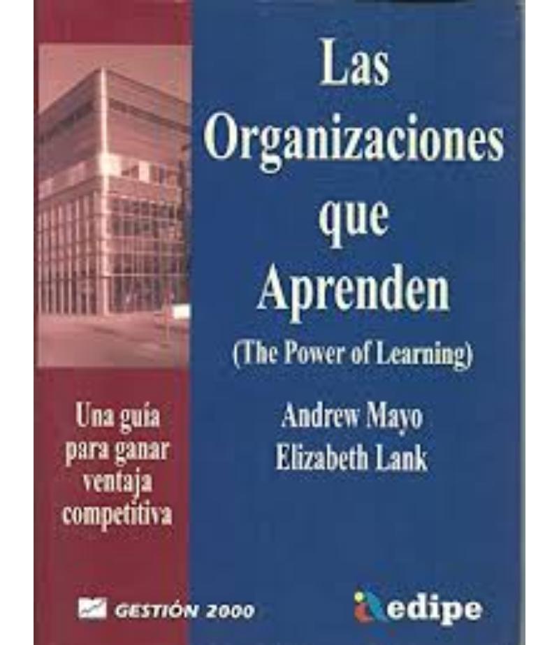 ORGANIZACIONES QUE APRENDEN, LAS