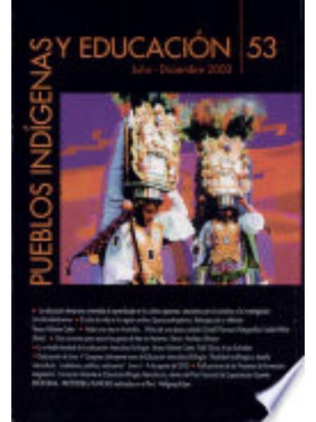 PUEBLOS INDÍGENAS Y EDUCACIÓN 53