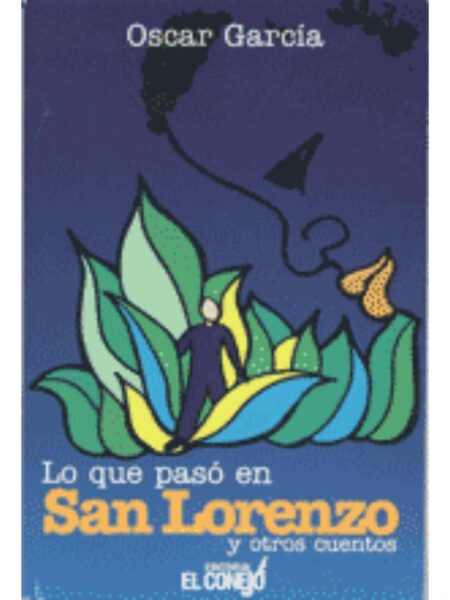 LO QUE PASÓ EN SAN LORENZO