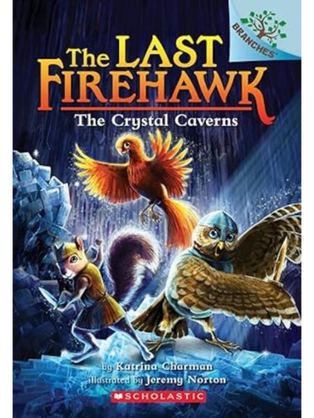LAST FIREHAWK 2 THE CRYSTAL CAVERNS