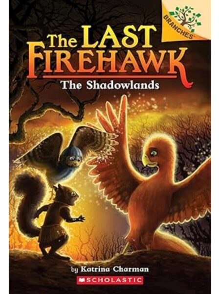 LAST FIREHAWK 5 THE SHADOWLANDS