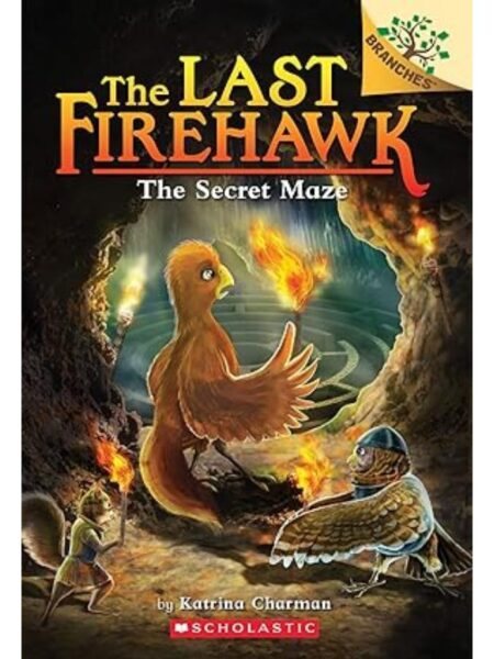 LAST FIREHAWK 10 THE SECRET MAZE