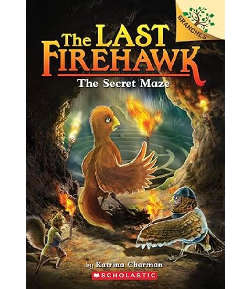 LAST FIREHAWK 10 THE SECRET MAZE