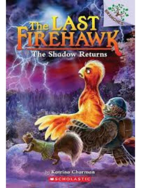 LAST FIREHAWK 12 THE SHADOW RETURNS