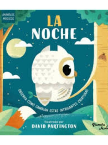 ANIMALES MÁGICOS LA NOCHE -CARTONÉ-