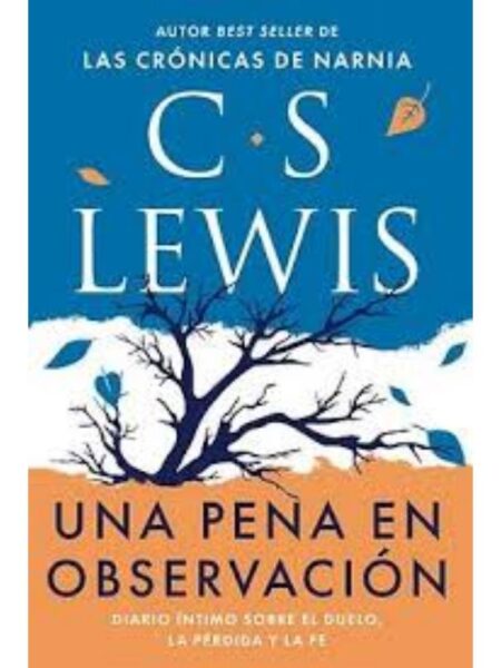 UNA PENA EN OBSERVACIÓN