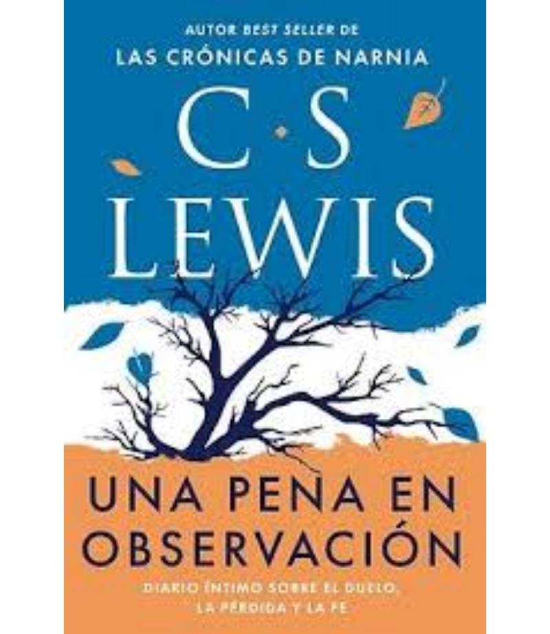 UNA PENA EN OBSERVACIÓN