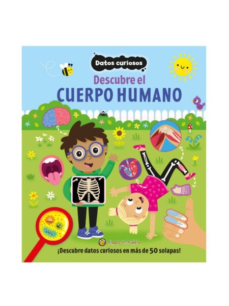 DATOS CURIOSOS DESCUBRE EL CUERPO HUMANO