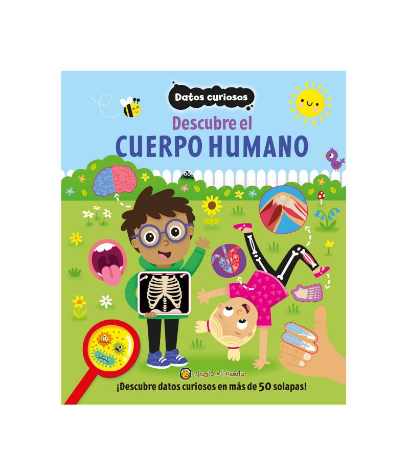 DATOS CURIOSOS DESCUBRE EL CUERPO HUMANO