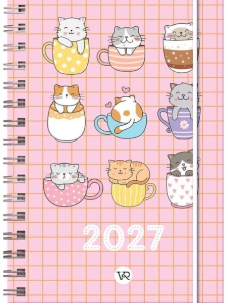 AGENDA CHICAS 2027 TAZAS